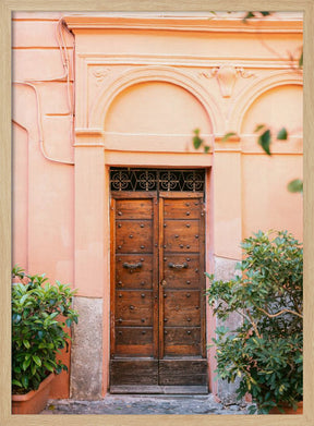 The Trastevere door || Poster