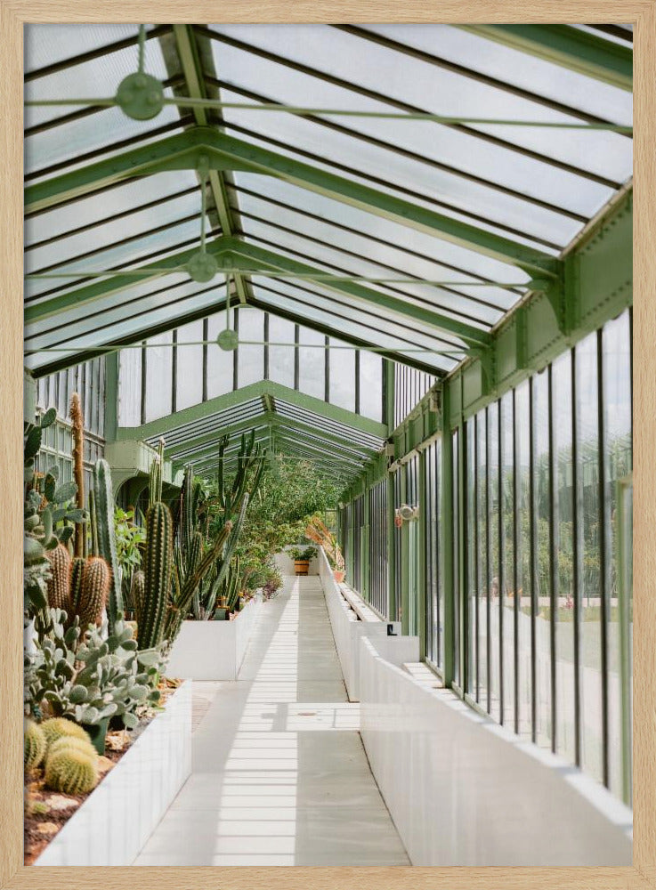 Botanical garden of Paris Poster