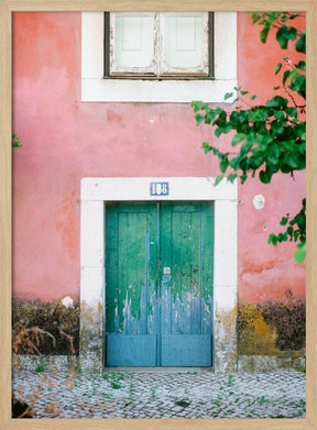 Little door in Lisbon Poster