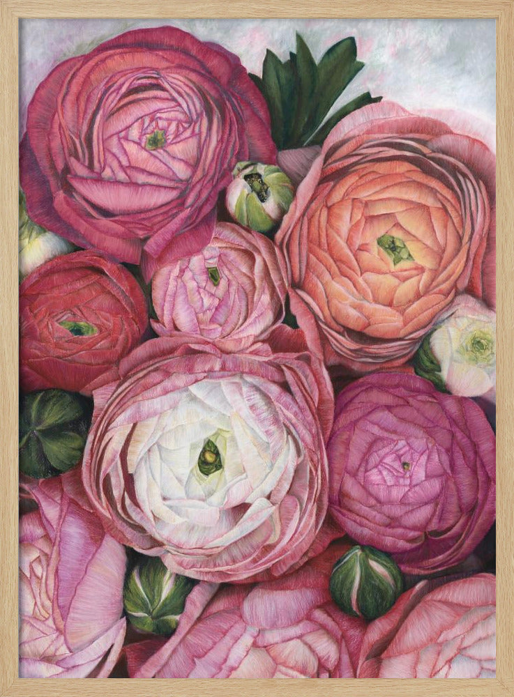 Arleth ranunculus bouquet in warm pink Poster