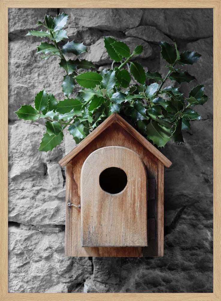 Holly birdhouse Poster