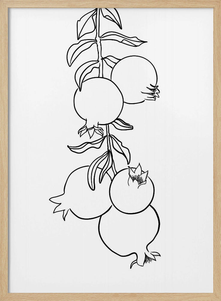 Branch of pomegranates Poster