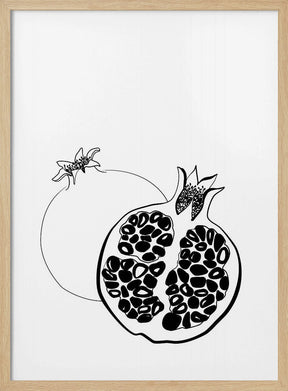 Line art pomegranates Poster