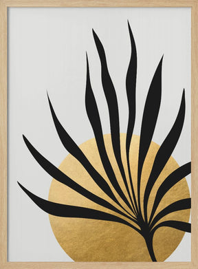 Tropical sun and palm leaf Poster