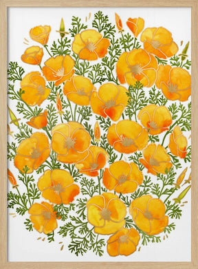 Gold accented California poppies Poster