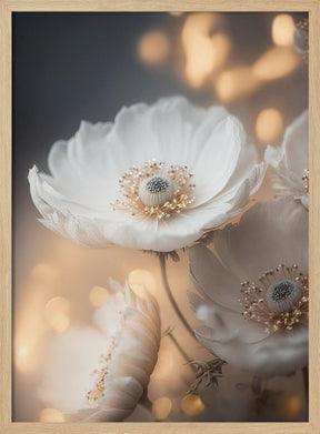 White And Golden Flowers Poster