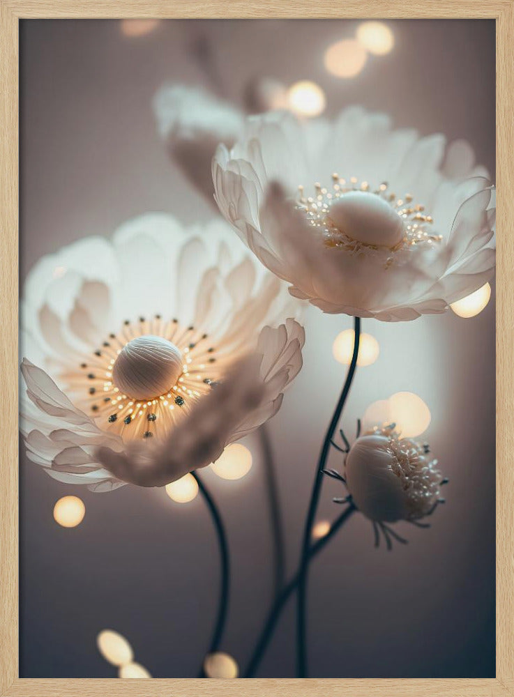 White Flowers And Bokeh Poster