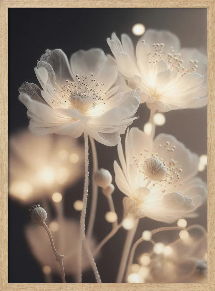 White Glowing Flowers Poster