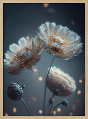 Flowers At Night Poster