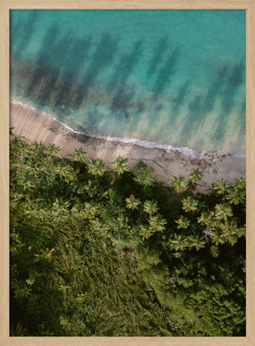 Palm Beach from Above Poster