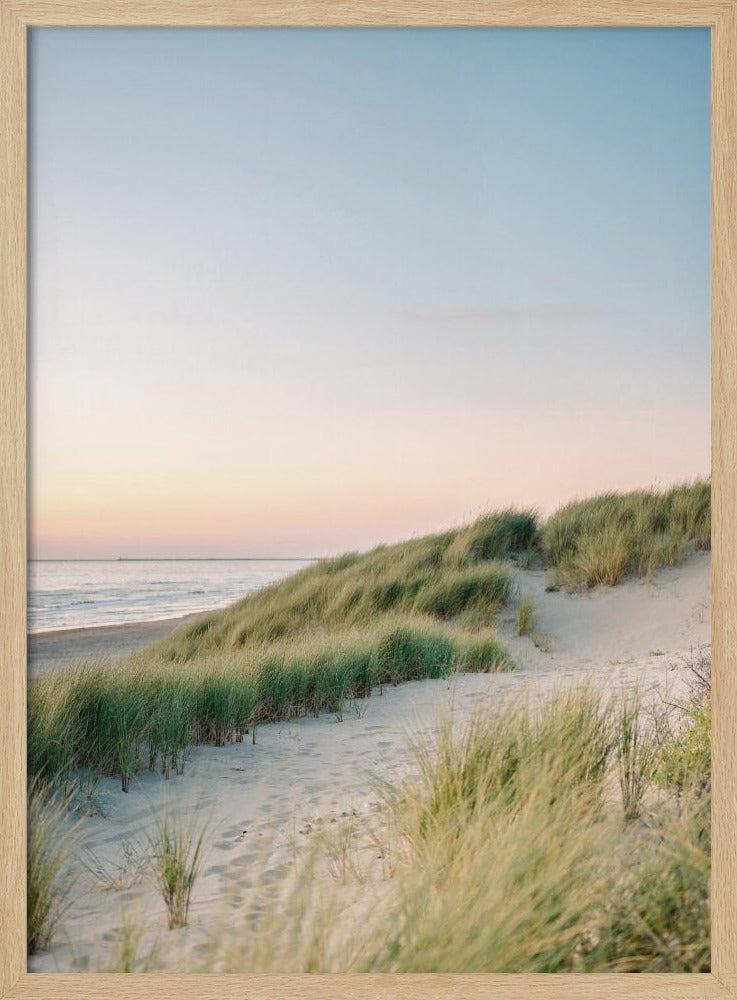 Dutch Dunes Poster