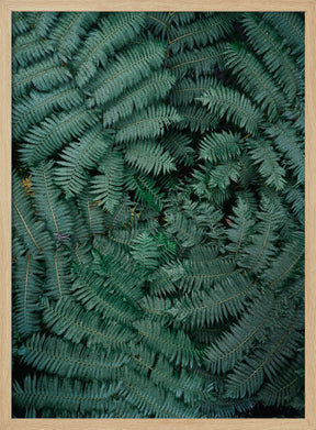 Green Leaves Poster