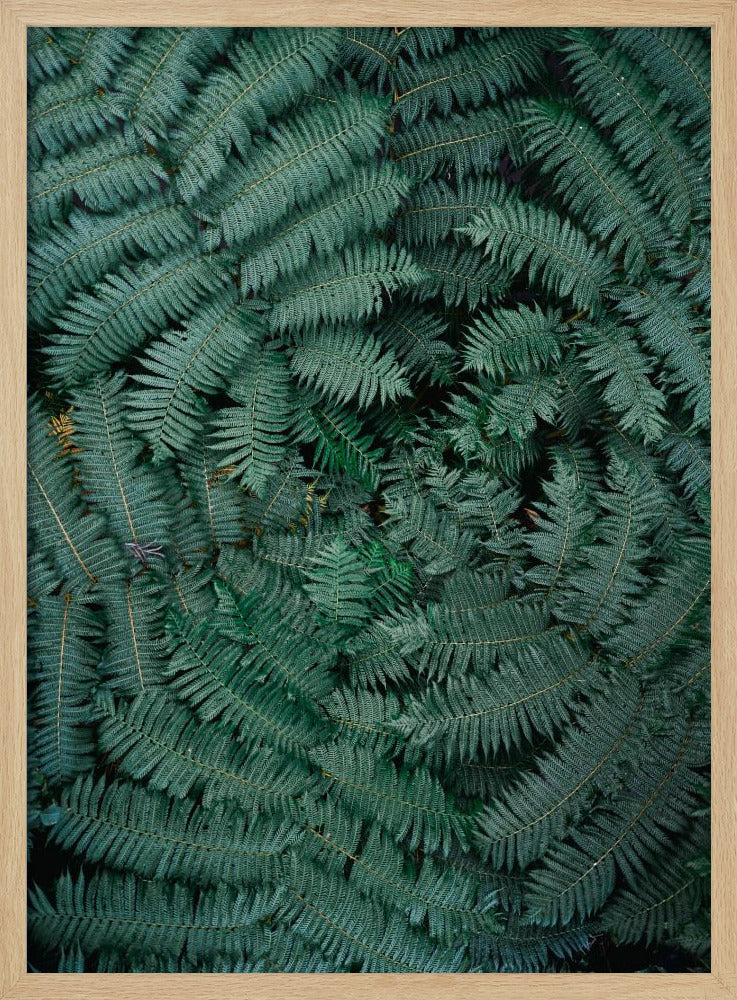 Green Leaves Poster