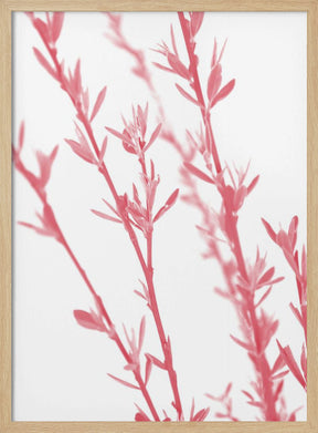 Pink dainty branch Poster