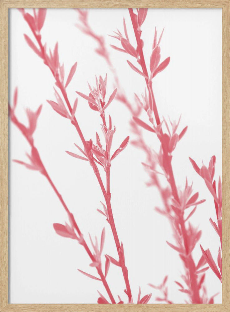 Pink dainty branch Poster