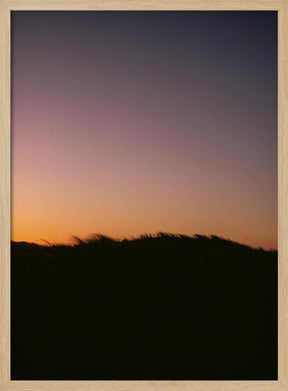 Dune Grass Sunset Poster