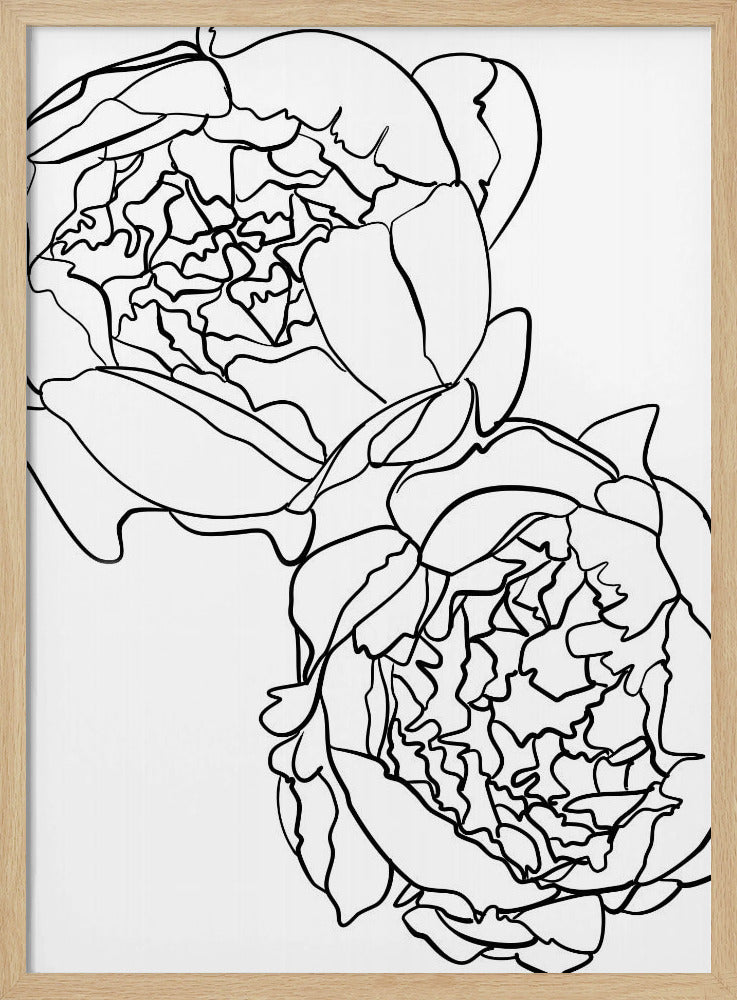 Sally's peonies in black and white Poster