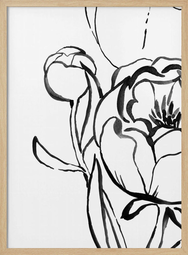 Anuman peony line art Poster