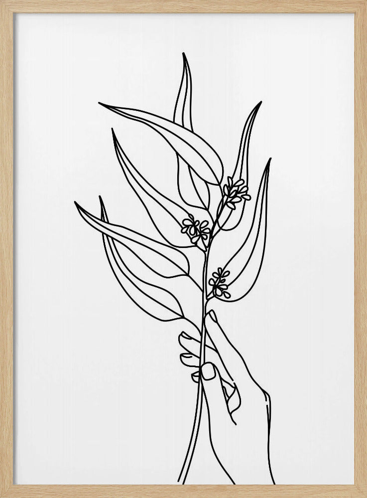 Seeded eucalyptus line art Poster