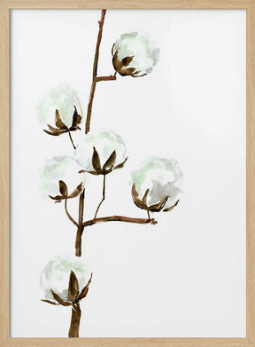 Watercolor cotton branch I Poster