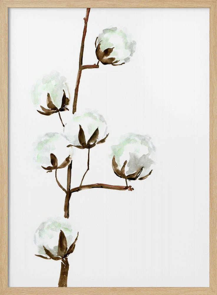 Watercolor cotton branch I Poster