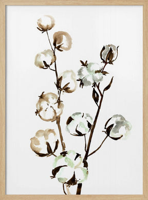 Watercolor cotton branch II Poster