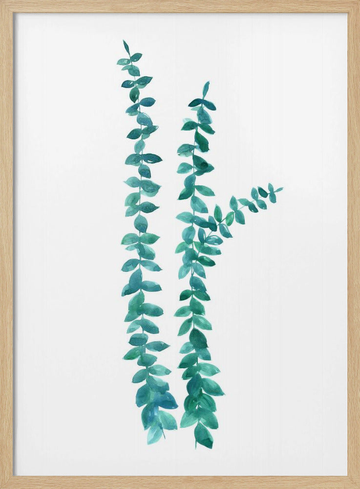 Watercolor eucalyptus branches in teal Poster