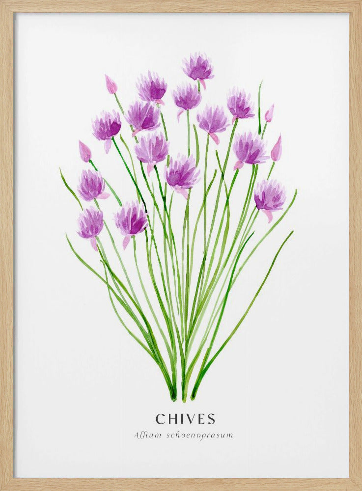 Chives I Poster