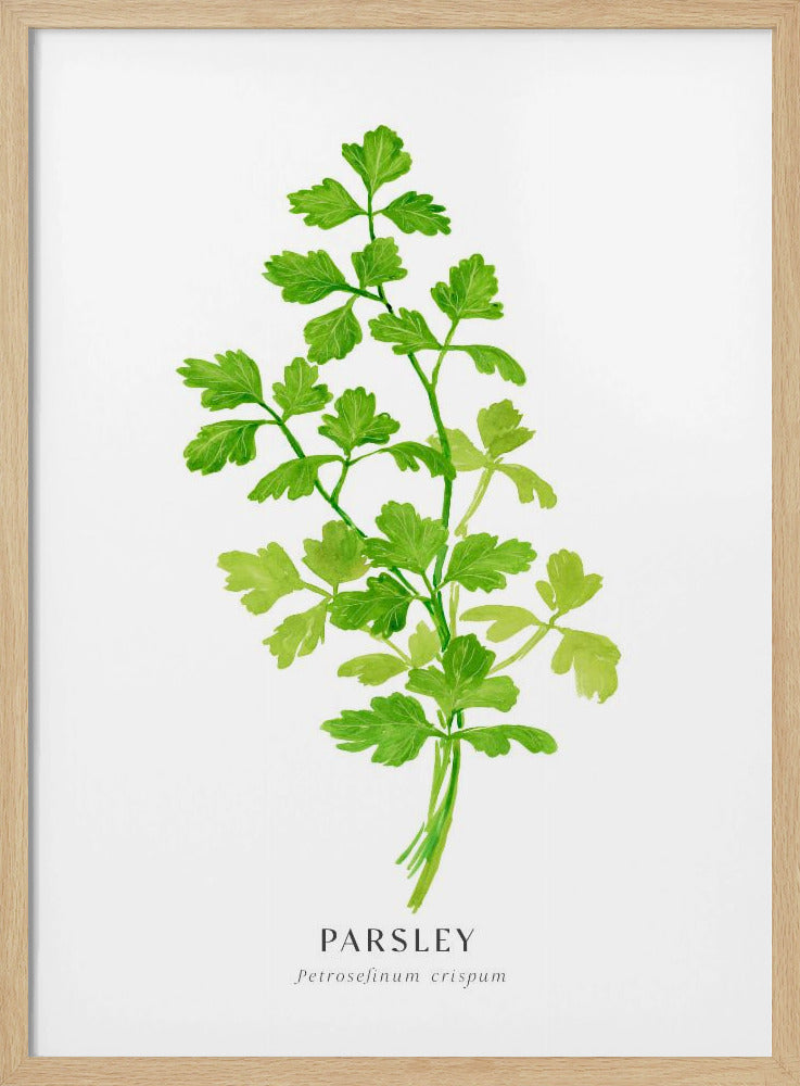 Parsley I Poster