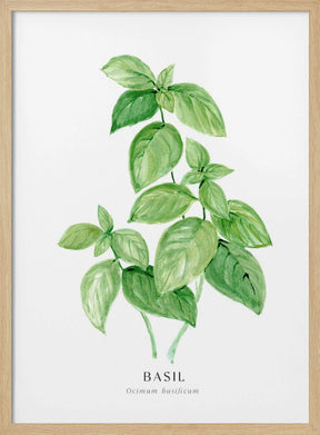 Basil I Poster