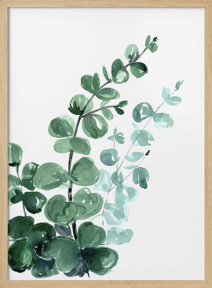 Watercolor eucalyptus bouquet Poster