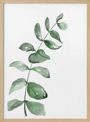 Watercolor greenery branch Poster