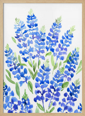 Watercolor Texas bluebonnets Poster