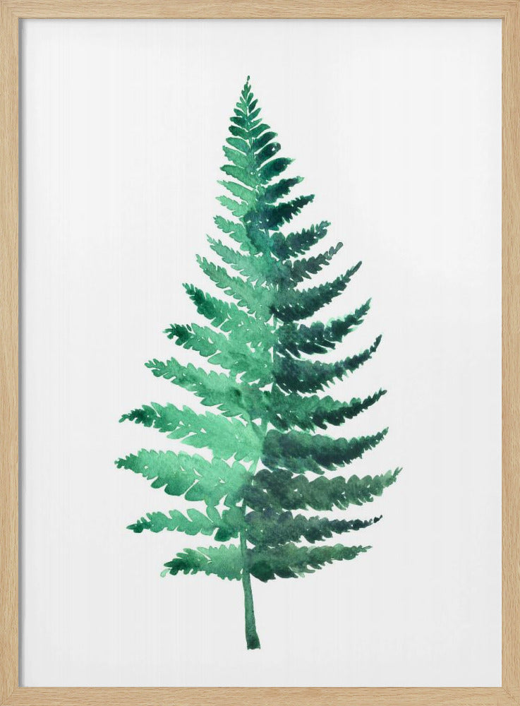 Watercolor fern Poster