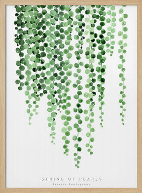 Watercolor string of pearls Poster