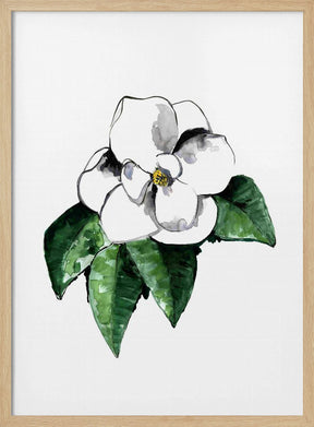 White magnolia Poster