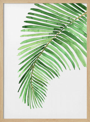 Palm leaf in loose watercolor Poster