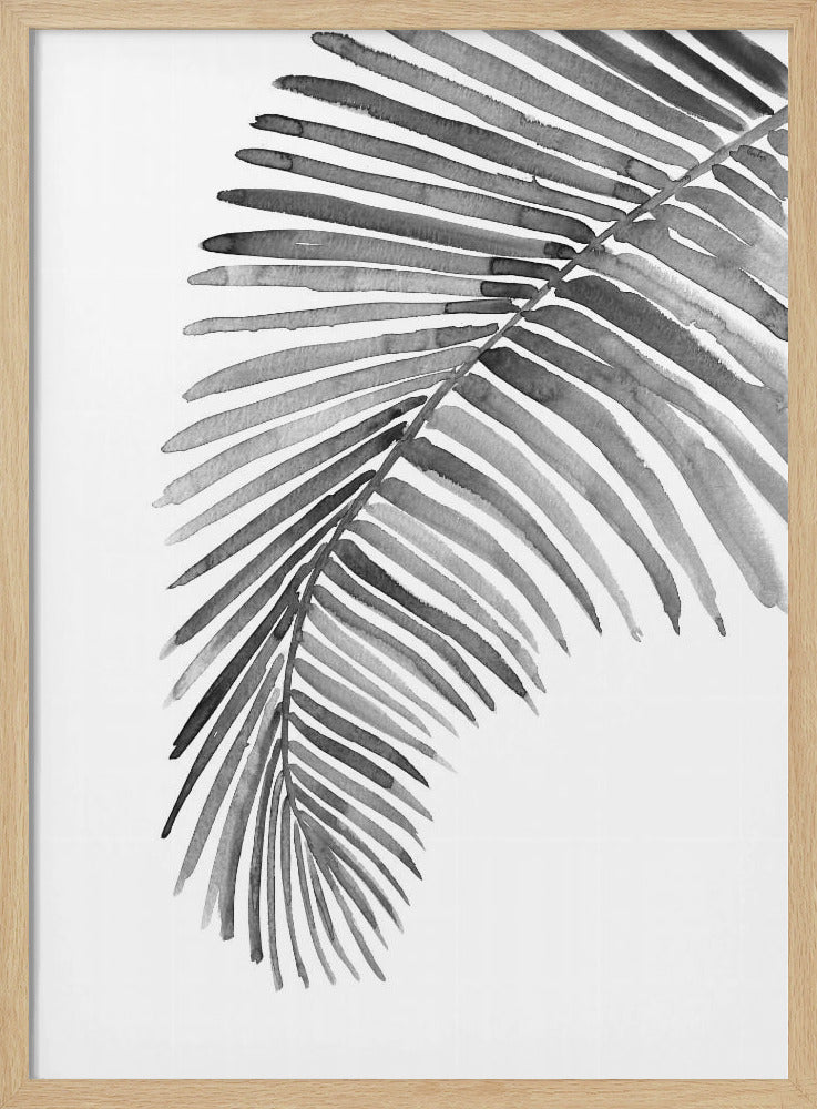 Palm leaf in loose watercolor Black and White Poster