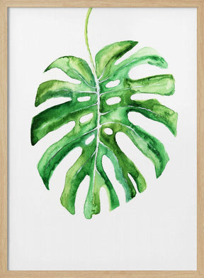 Monstera Leaf Poster