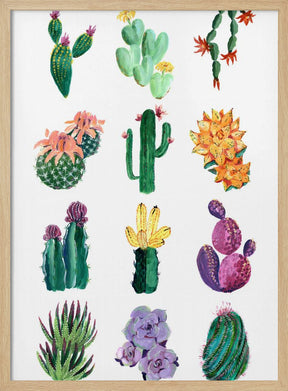 Collection of cacti Poster