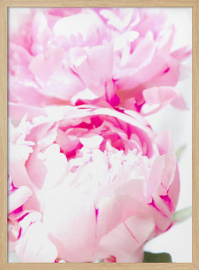 Pink peony X Poster