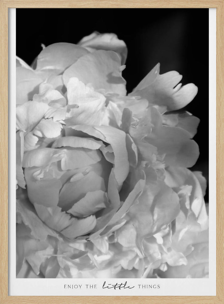 Enjoy the little things peony BW Poster