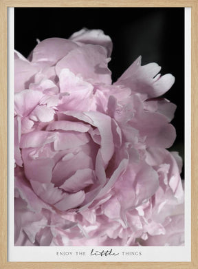 Enjoy the little things peony Poster