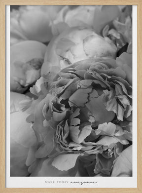 Make today awesome peonies BW Poster