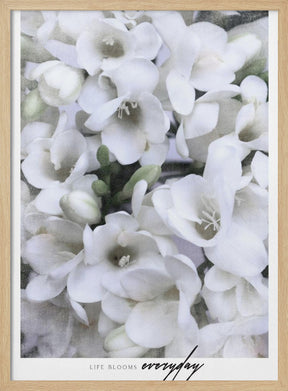 Distressed freesias II Poster