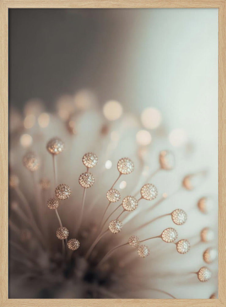 Glassy Flower Poster