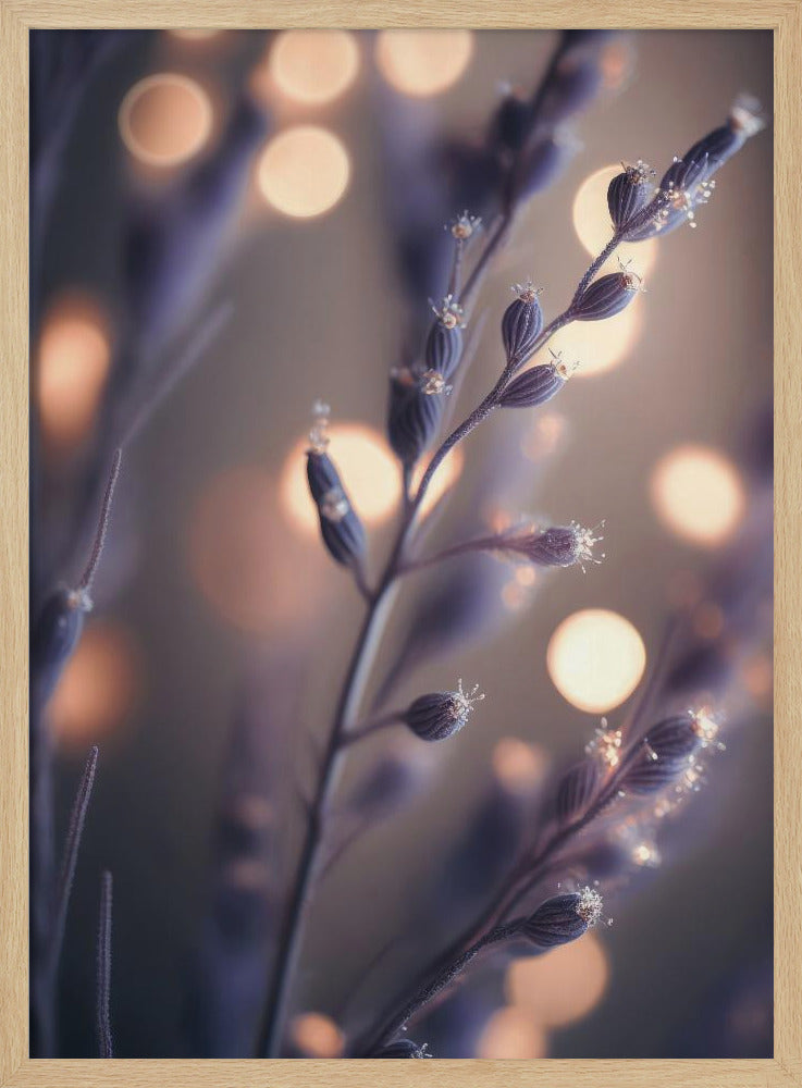 Lavender Macro Poster