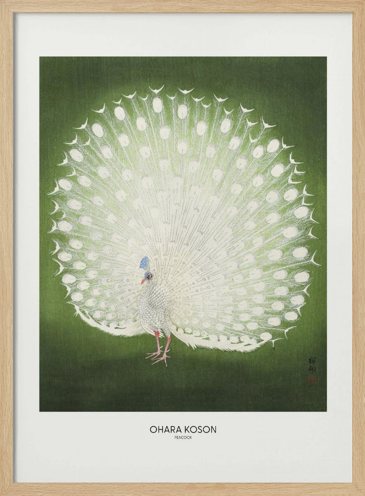 Peacock - Wide Poster