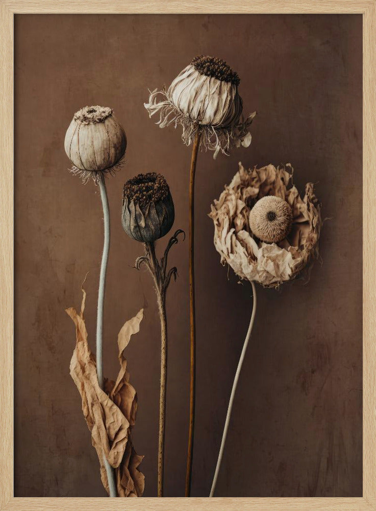 Three Dry Flowers Poster