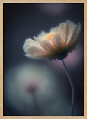 Dreamy Flower Poster